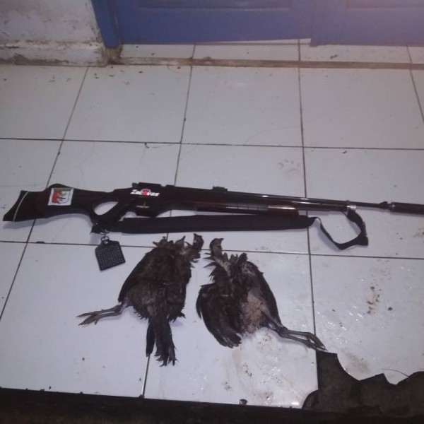 Trik Menjaga Kebersihan Senapan Angin agar Tidak Karatan: Panduan Lengkap untuk Perawatan Senapan Goppul - Night Furry